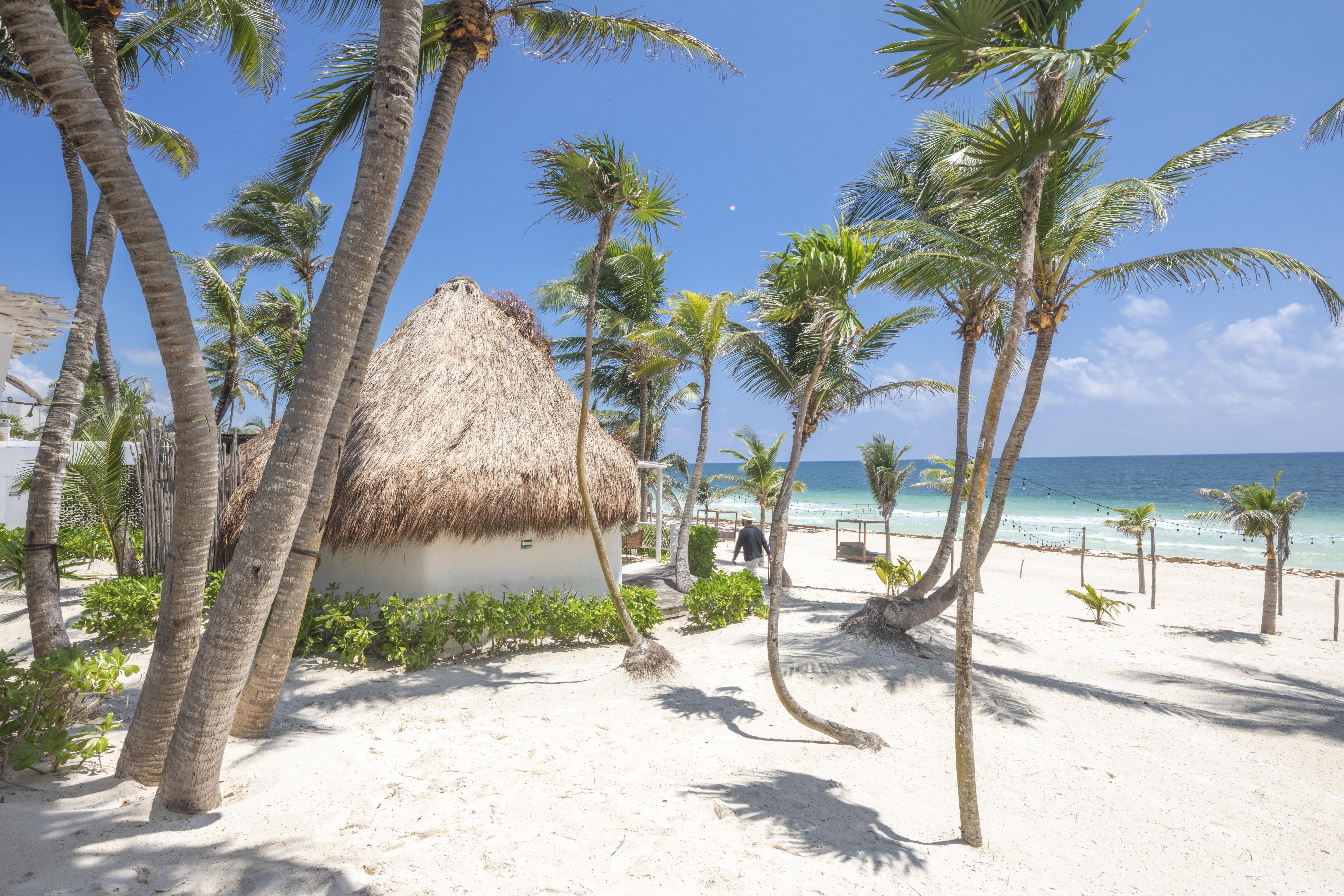 טולום Los Amigos Beach Hotel Boutique מראה חיצוני תמונה